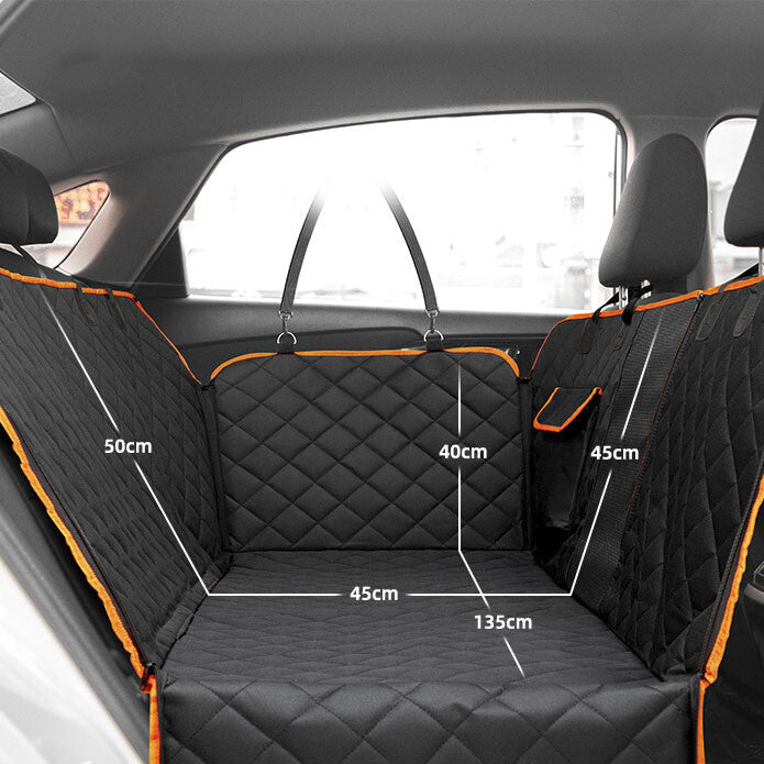 Dog on back seat cover
